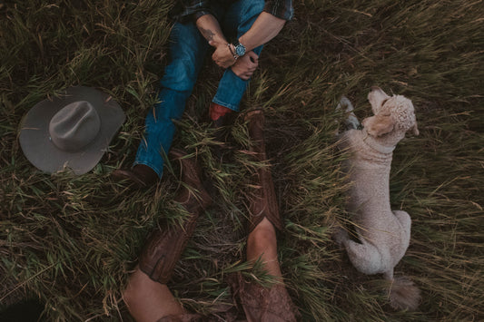 The No-Comfort Doctrine