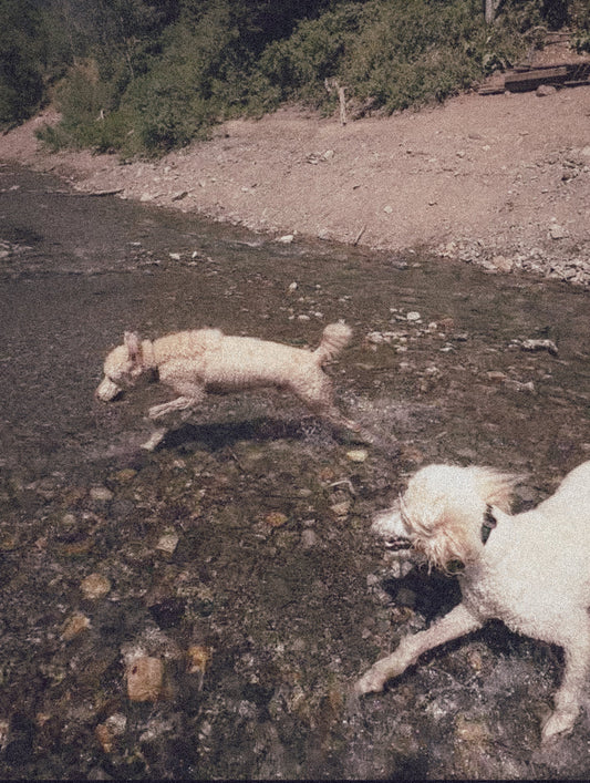 The Discipline of Man