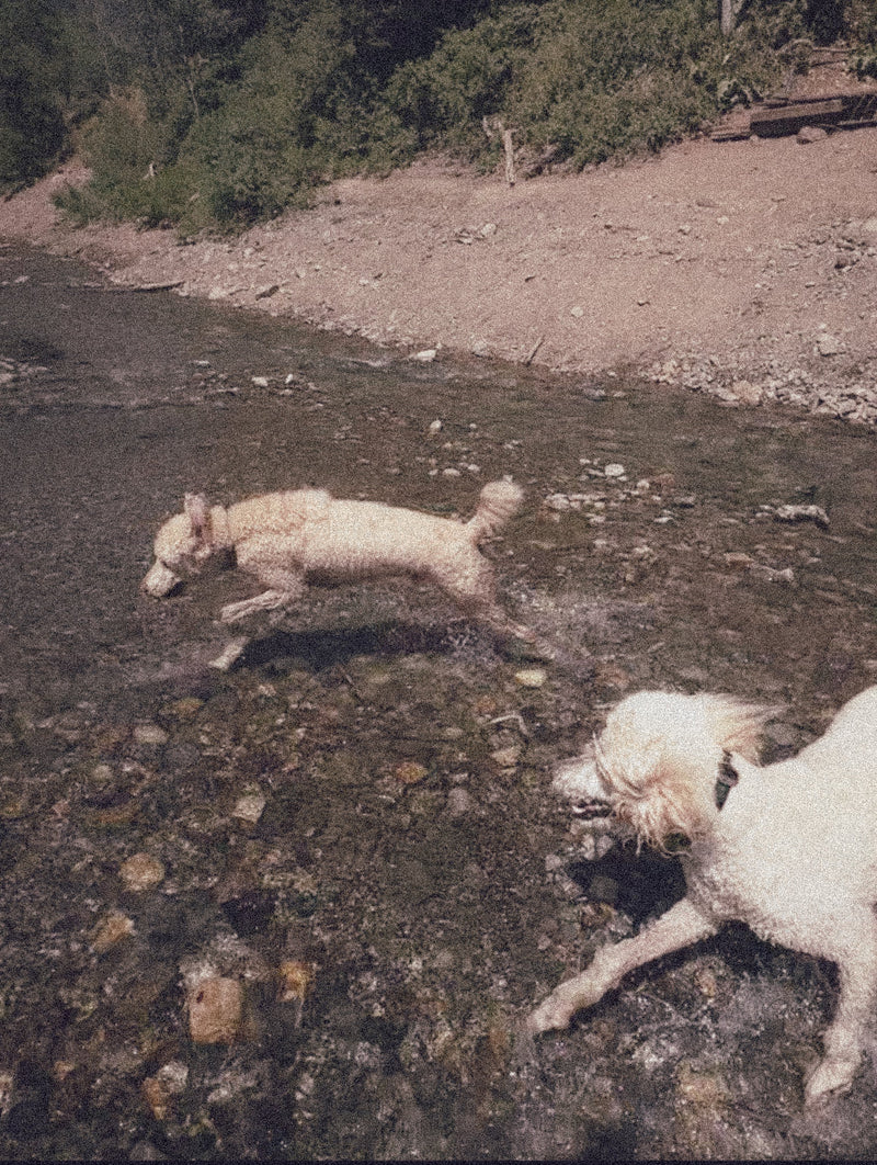 The Discipline of Man